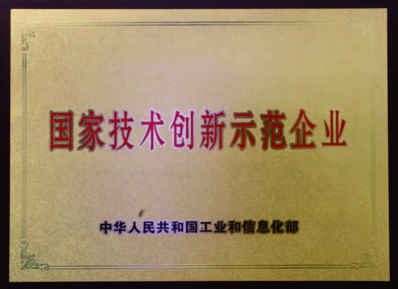 國家技術創新示範企業